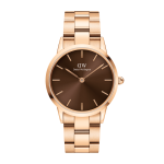 Iconic Link Amber Watch 32MM