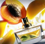 Inspired Fragrance