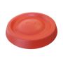 Dog Frisbee