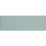 Light Grey Flat Gloss 100 X 300 Mm