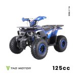 125CC Hunter Offroad Quad Bike Tao Motor + Remotes Blue For 12 Years + - Red