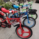 Embassy 16 Inch Bicycle With Alloy Rims