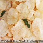 Chipwhite Powder