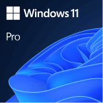 Windows 11 Professional Digital License