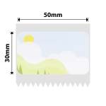 NB672 - - B1 B21 B3S B4 - 50X30MM - 230 Spring Scene Labels