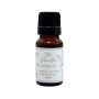 Natures Edition Scented Oil Vanilla 10ML