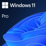 Windows 11 Pro License Only No DVD