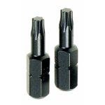 Torx TX25 Insert Bits 2 PC