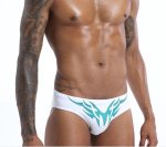 White Breifs With Tribal Print And Rainbow Falg