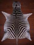 A Grade Zebra Hide 081 M