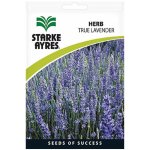 True Lavender Herb Seeds