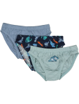 Dinosaur Print Cotton Briefs - 3 4 Assorted
