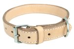 Pit-bull Collars Leather Size 26 34MM X 65CM