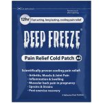 Deep Freeze Pain Patch 4