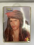 Pirate Wig