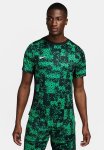 Nike Dri-fit Academy Pr S S Graphic Top - Stadium Green black white