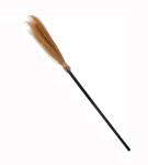 Witch Broom