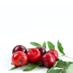 Guarana Concentrate - 10ML