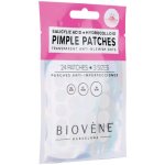 Biovene Anti-blemish Pimple Patch Dots 24S
