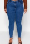 Plus Blue High Waist Stretchy Skinny Jeans