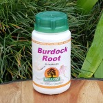 Burdock Root 50 Capsules Willow