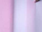 English Tulle
