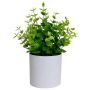 MINI Eucalyptus Artificial Potted Plant - Green