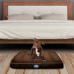 Sealy Cushy Comfy Dog Bed - Medium Modern Grey