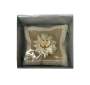 Cushion Hessian