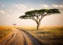 Canvas Wall Art - African Landscape - Tanzania A0