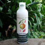 Natural Conditioner Pomegranate & Soy Earth Sap