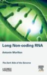 Long Non-coding Rna - The Dark Side Of The Genome Hardcover