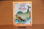 Galactic Jonah And The Whale And Other Bible Stories Book Traders