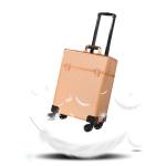 Professional Cosmetics Makeup Orgaizer Trolley With 4 Abs Wheels Rose Gold