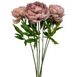 - Peonies - Mauve Pack Of 12 Stems - 57CM