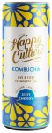 Kombucha - Zesty Energy