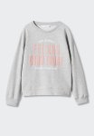 Sweatshirt Dublini - Grey