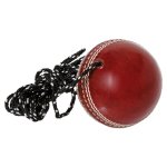 Cricket Ball And Cord