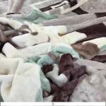 Emerald 1.8KG Supersoft Mink Embossed Blanket Double Assorted Colours Designs - 3