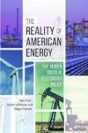 The Reality Of American Energy - The Hidden Costs Of Electricity Policy Hardcover