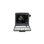 WED190 Portable Ultrasound 15 Lcd Monitor