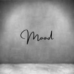 Mood - L 450MM Matt Silver Font 2