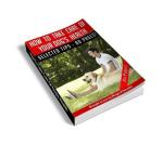 How To Take Care Of Your Dogs Health