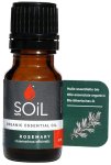 Rosemary Essential Oil 10ML