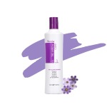 World Famous No Yellow Shampoo 350ML