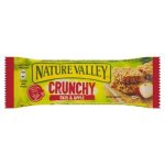 Nature Valley Crunchy Apple Crisp 42G