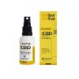 Fourfive Premium Tested 600MG Rise Cbd Oil For Anxiety