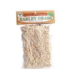 Umuthi Barley Grass Sprouting Seeds - 100G