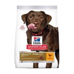 Hills Science Plan Canine Adult Healthy Mobility Large Breed Chicken 12KG