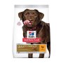 Hills Science Plan Canine Adult Healthy Mobility Large Breed Chicken 12KG